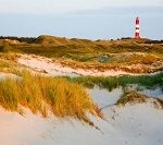 Field with sand
