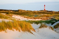 Field with sand