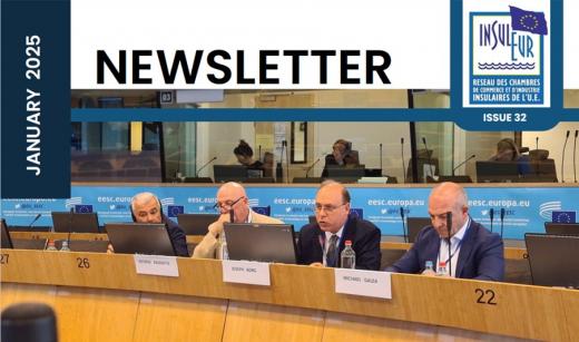 newsletter insuleur f249.jpg