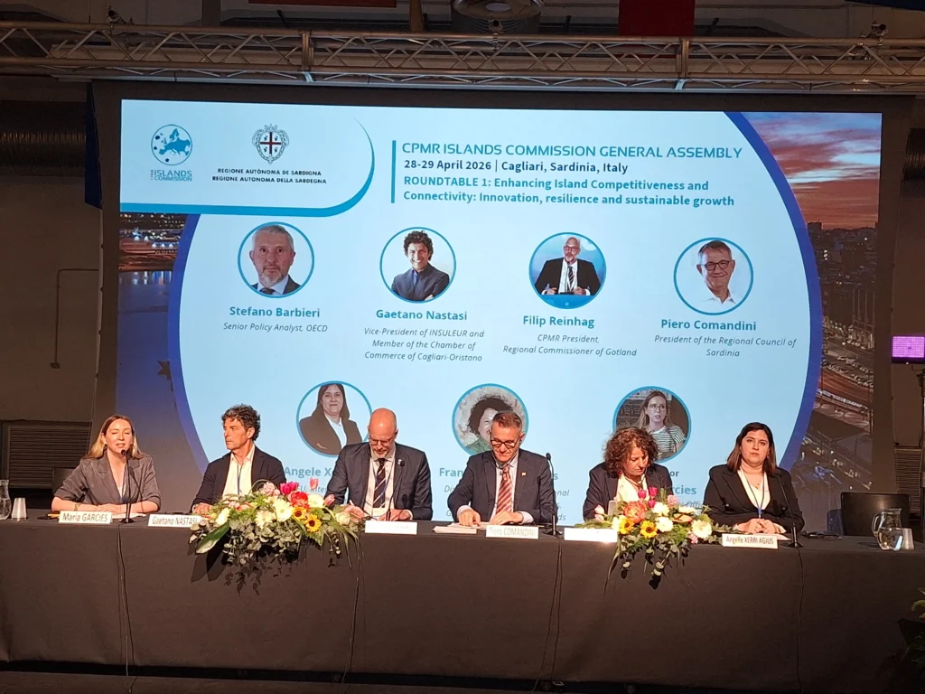Assemblea ġenerali tas-Cpmr 3