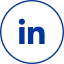 Linkedin icon ins