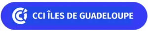Logo cci guadeloupe