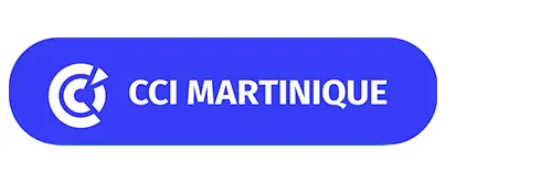 Logo matinique