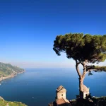 Tree growing by sea against clear blue sky